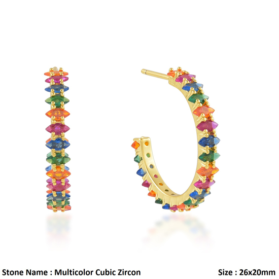 Picture of Multicolor C-Hoop Earrings