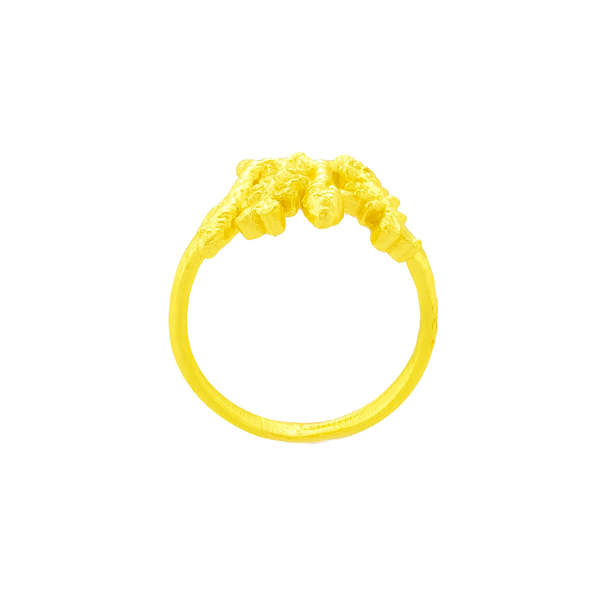 Picture of Molten Fish Cluster Ring